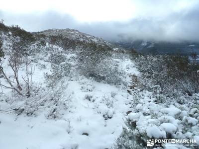 El Porrejón y Peña La Cabra; rutas senderismo; sierra de madrid;excursiones guadalajara